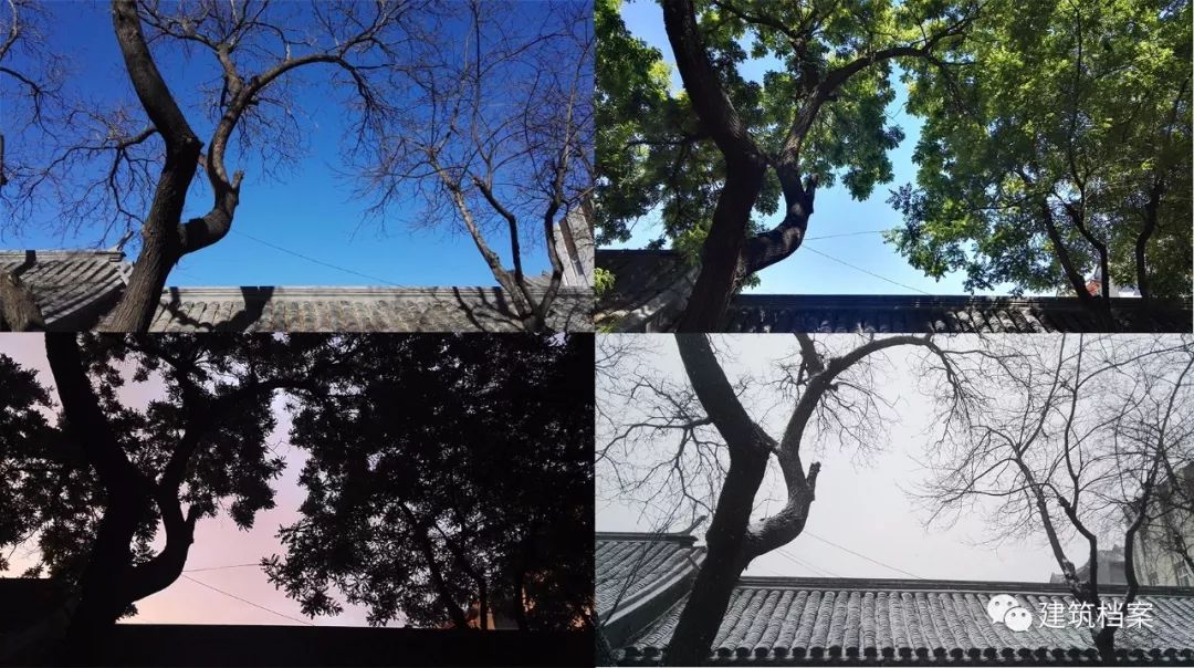 小溪家，《漂亮的房子》，弥漫空间，魏娜