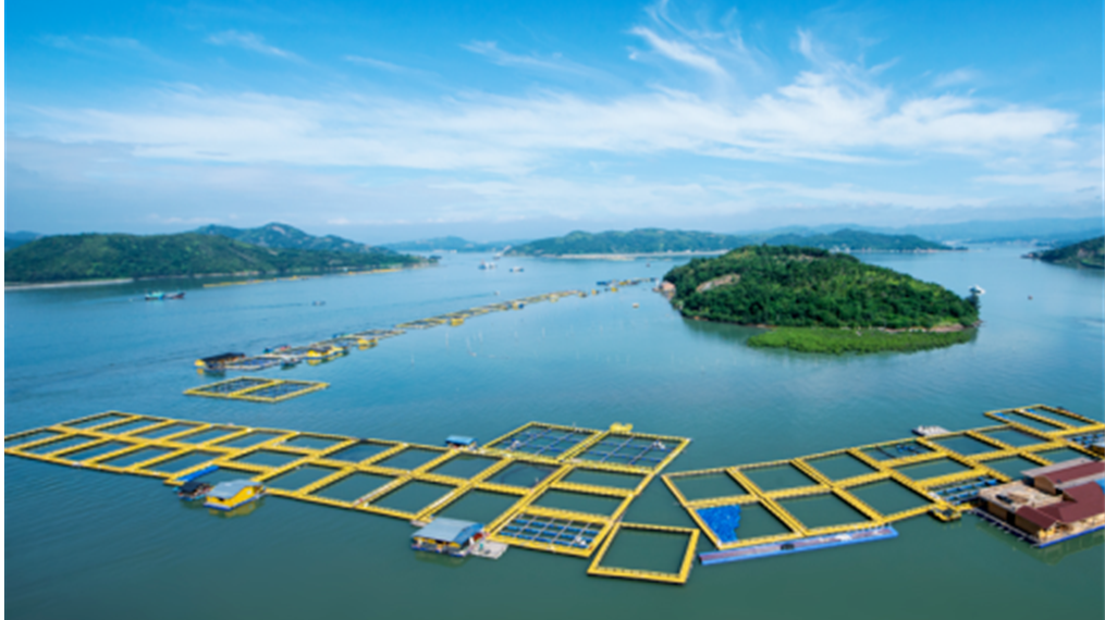 Arcadis凯谛思秉承海湾治理国际理念,为福鼎构建陆海统筹的一体化管理体系,促进海洋经济转型