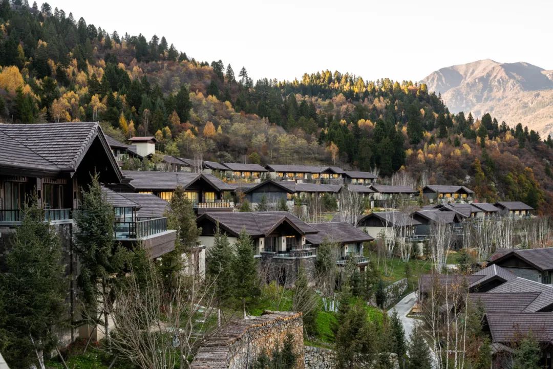 匠心说 | 郑勇：川味建筑