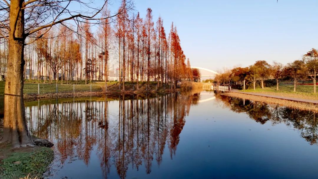 【线下+线上】8月26-28日●杭州【现代公园城市建设与公共空间景观设计国际研讨会】