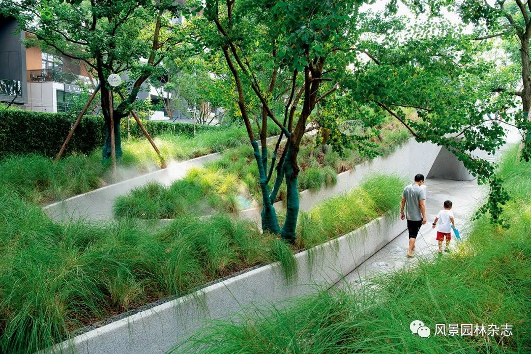 LA作品 | 唤醒城市空间下的滨水记忆：成都麓湖穿水公园设计