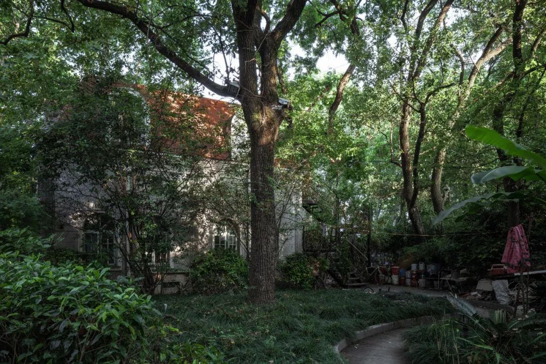 gmp新作 | 上海衡复风貌区的历史瑰宝——ICCF GARDEN 之禾卡纷花园