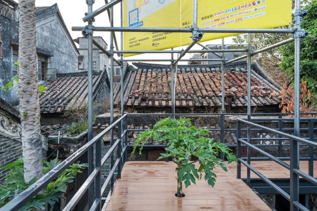 韩晶：尊重&ldquo;野生智慧&rdquo;，向城中村学习