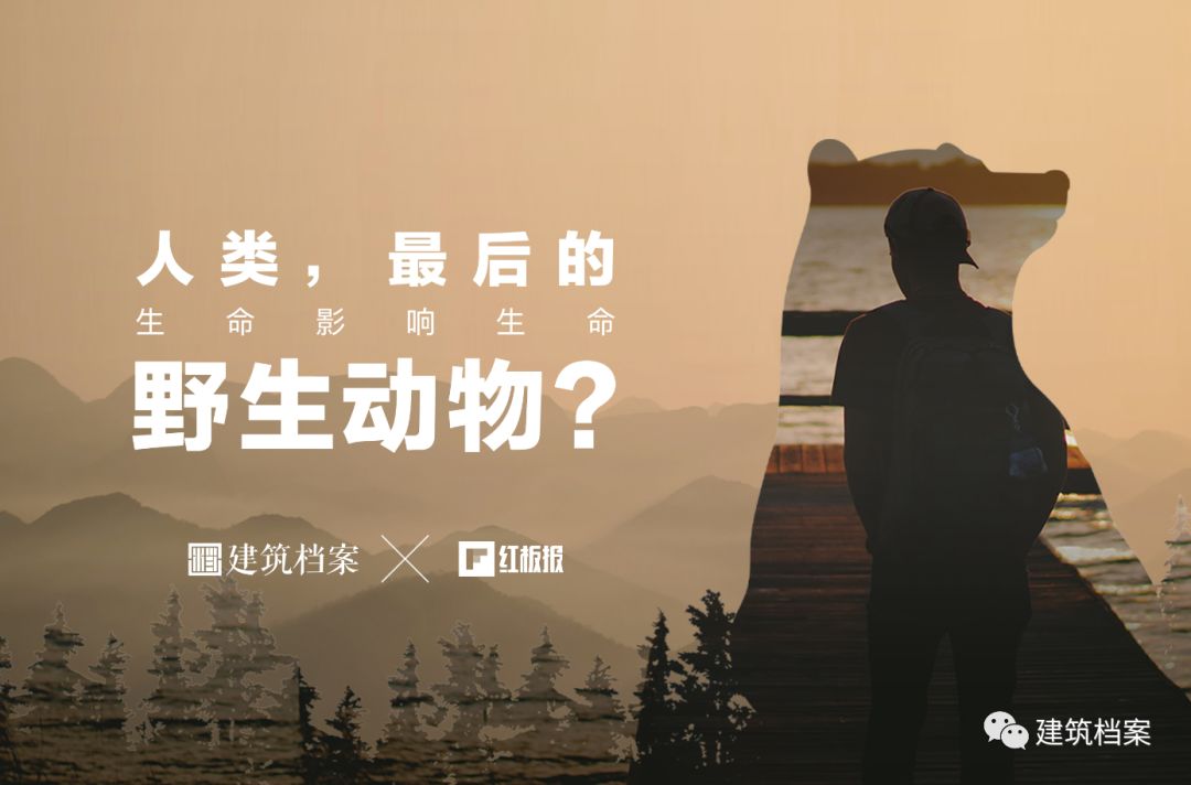 自然生命，红板报，建筑师