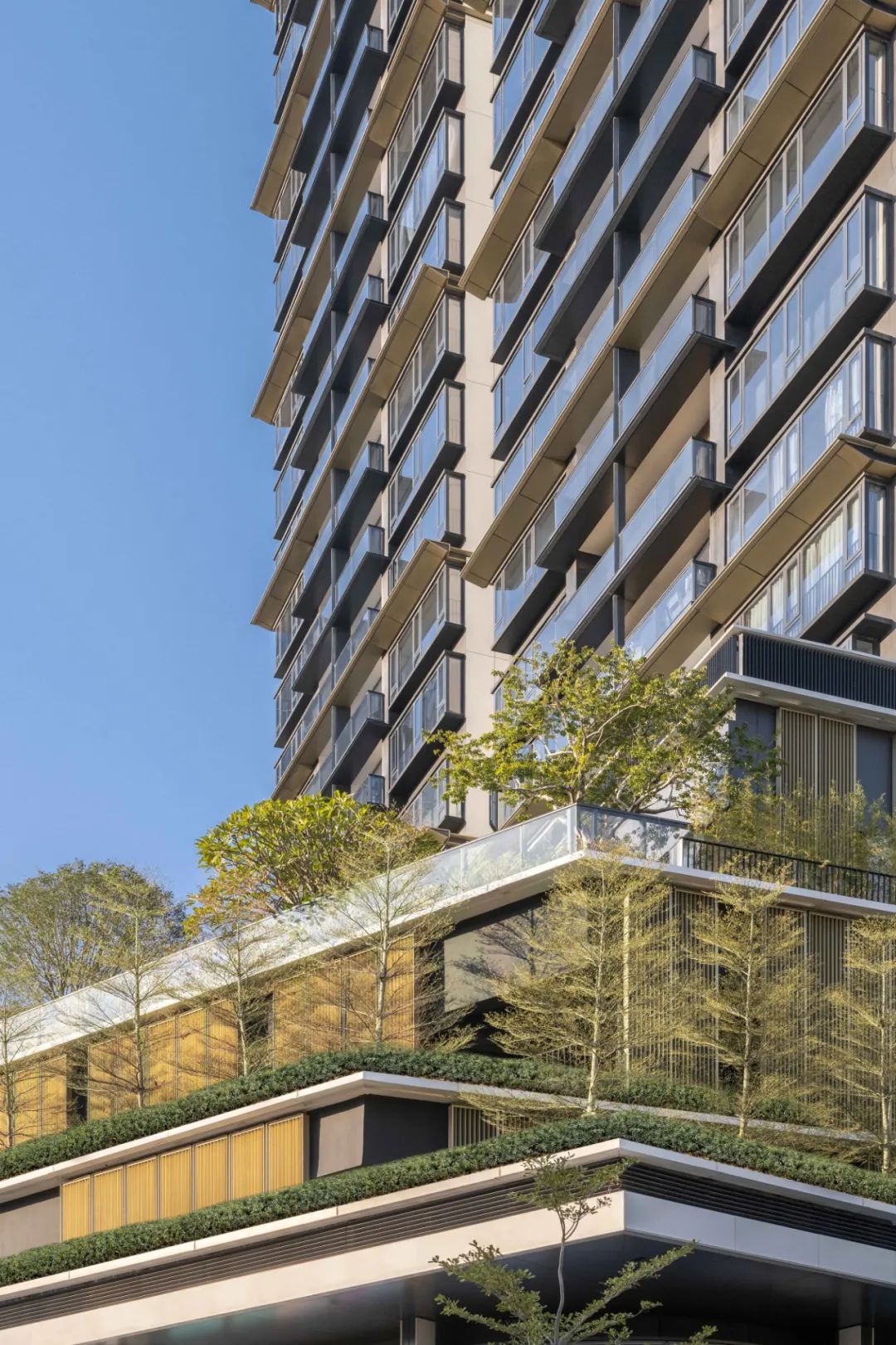 Aedas新作 | 深圳中泰瑧府，高密度中的都市绿洲