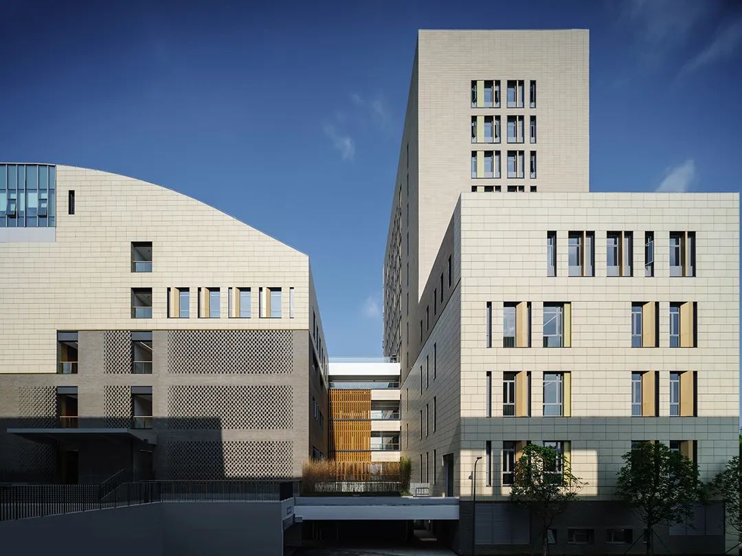 香港中文大学（深圳）二期丨山水林间，在地生长