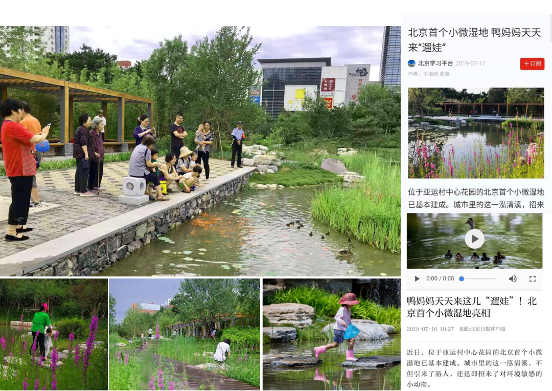 小湿地大生态——北京小微湿地保护修复示范建设项目实践 | LA理事风采