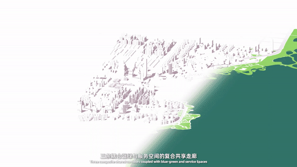 城市与场所 | 红树清风，探索洋浦海城共融