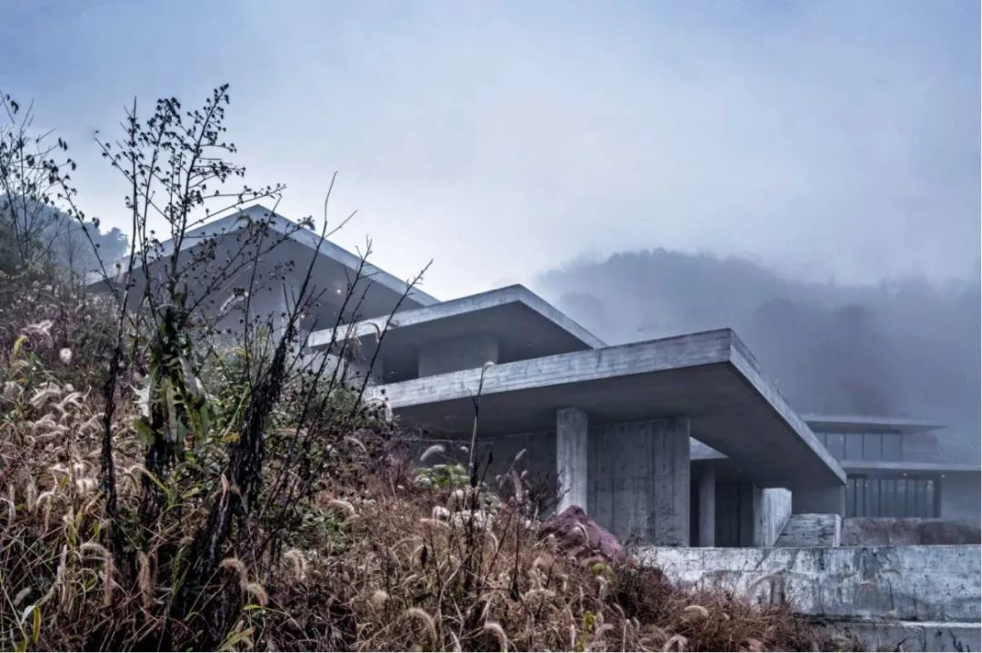那小海专访AIA美国建筑师协会上海分会年度设计奖联合主席姜宇捷，含完整获奖名单