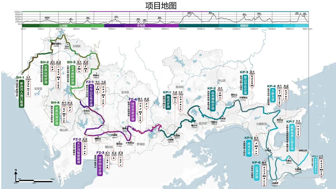 曹睿芝:大题小做