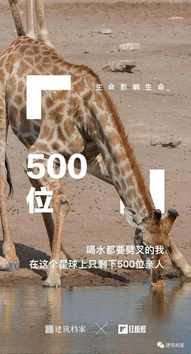 自然生命，红板报，建筑师