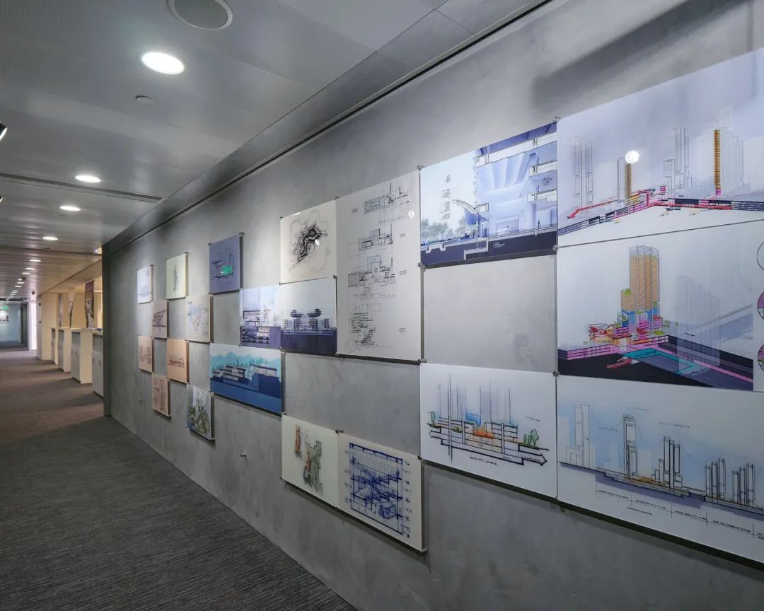 【建言丨对话凌克戈】一体化设计之路，适合与配合的统一