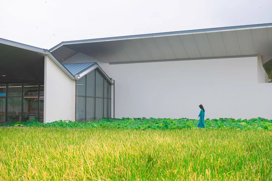 城中村蝶变之路：城市更新的驱动力