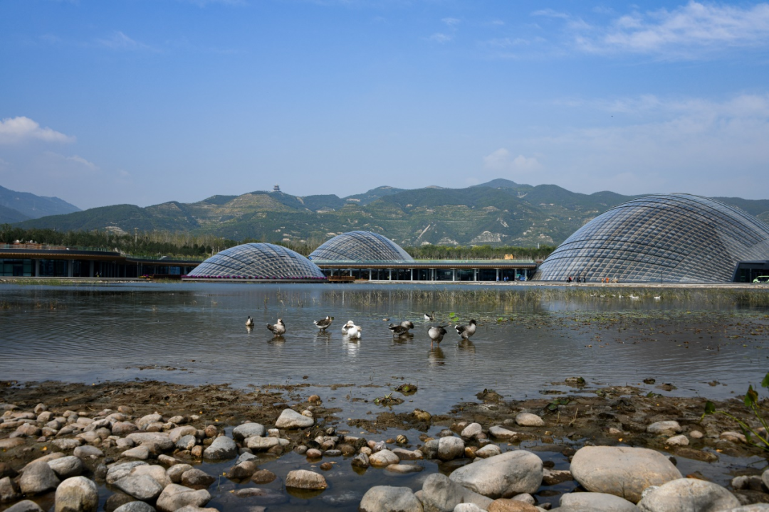 LA访谈 | 做最适合的设计&mdash;&mdash;北林地景孔宪琨副院长专访