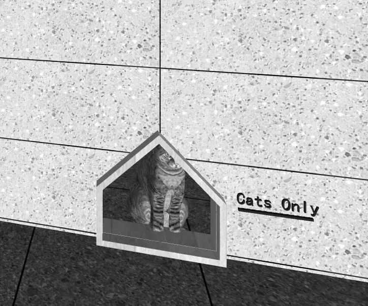 予舍予筑,建筑师,国际事务所,猫咪