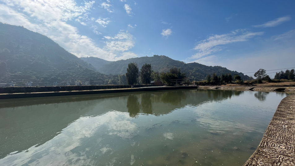 Arcadis凯谛思秉承海湾治理国际理念,为福鼎构建陆海统筹的一体化管理体系,促进海洋经济转型