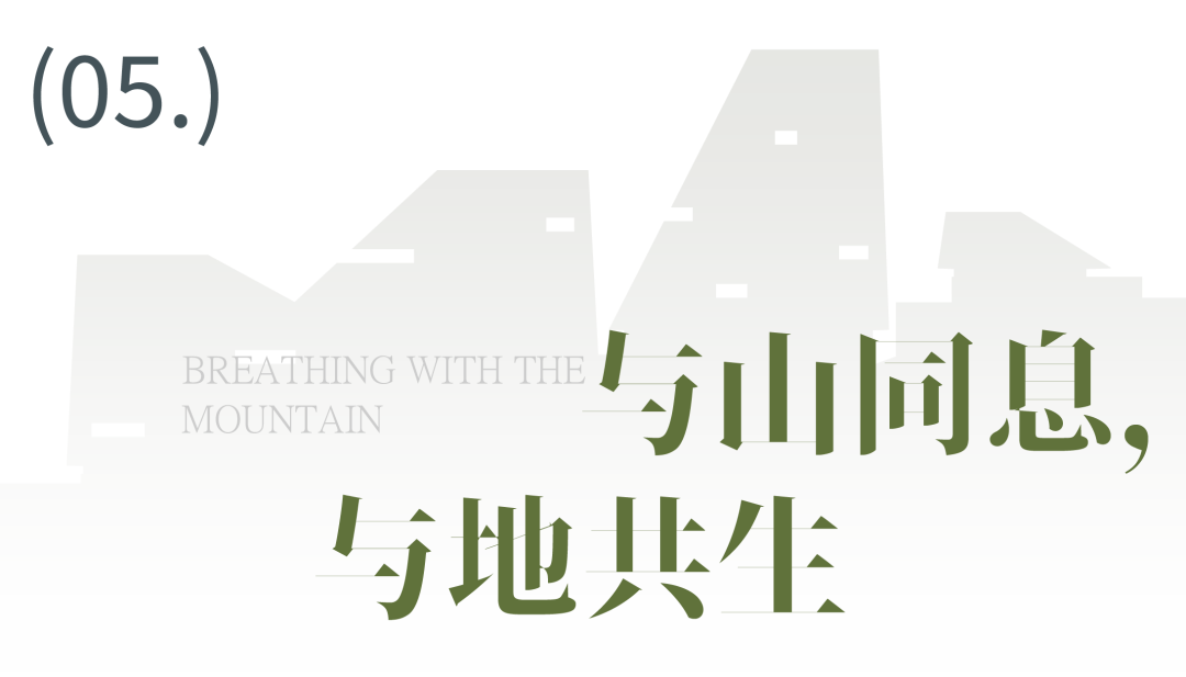 line+新作「红谷屋舍」:于红谷生长,与山林同息