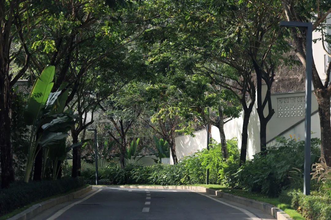 致舍作品 ｜ 隐入山林——阿那亚三亚南花园
