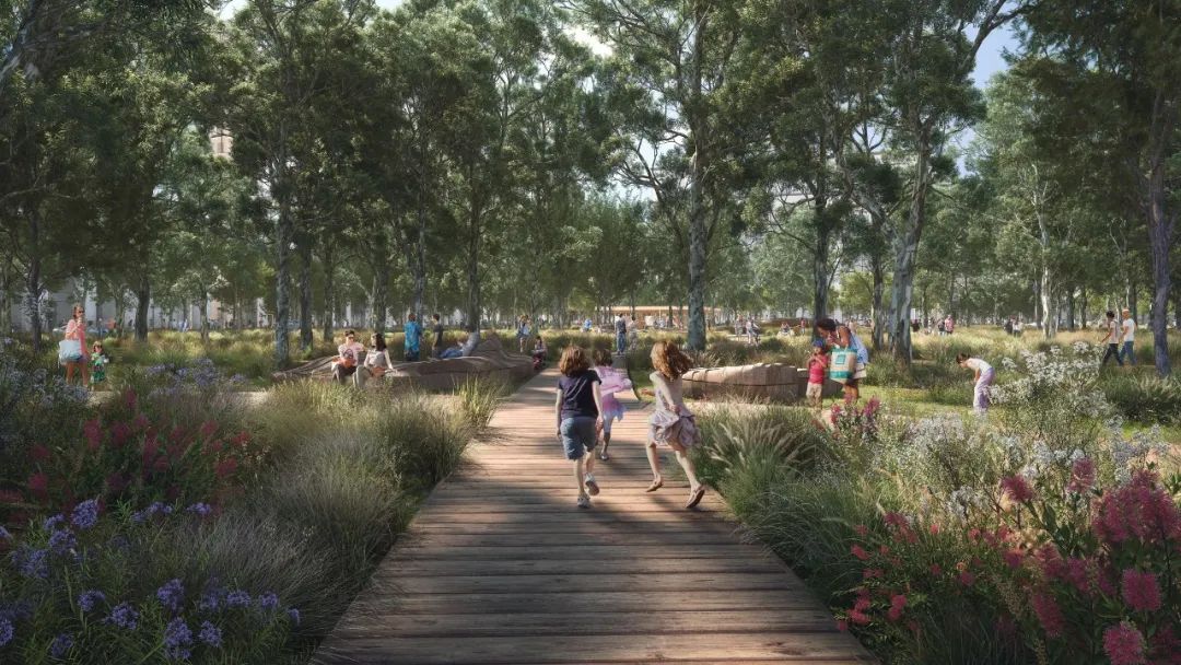 悉尼布拉德菲尔德（Bradfield）中央公园