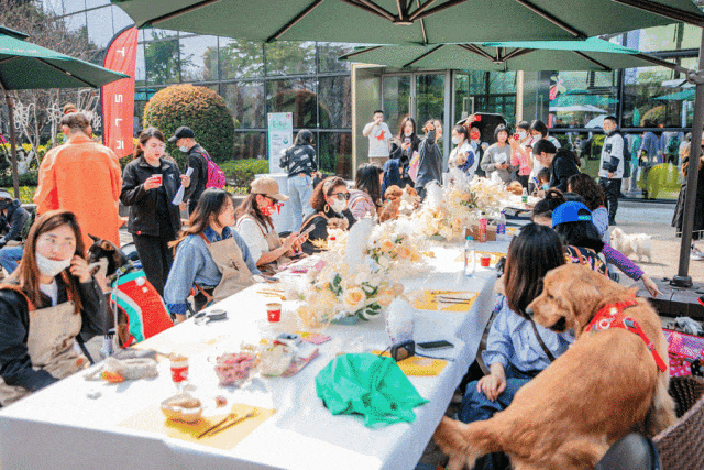 宠物友好商场：“它经济”下，城市商业生态的多样化探索