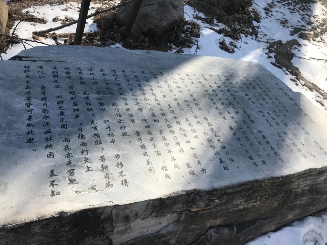 东梅&刘小川：正在消弭的人文与自然