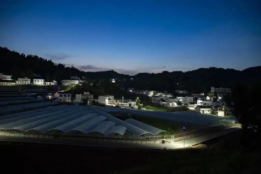 公益重焕乡村新生：巫山小三峡自然教育中心