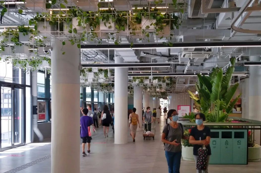 香港漫游指南 | 一场阔别已久的文艺之旅