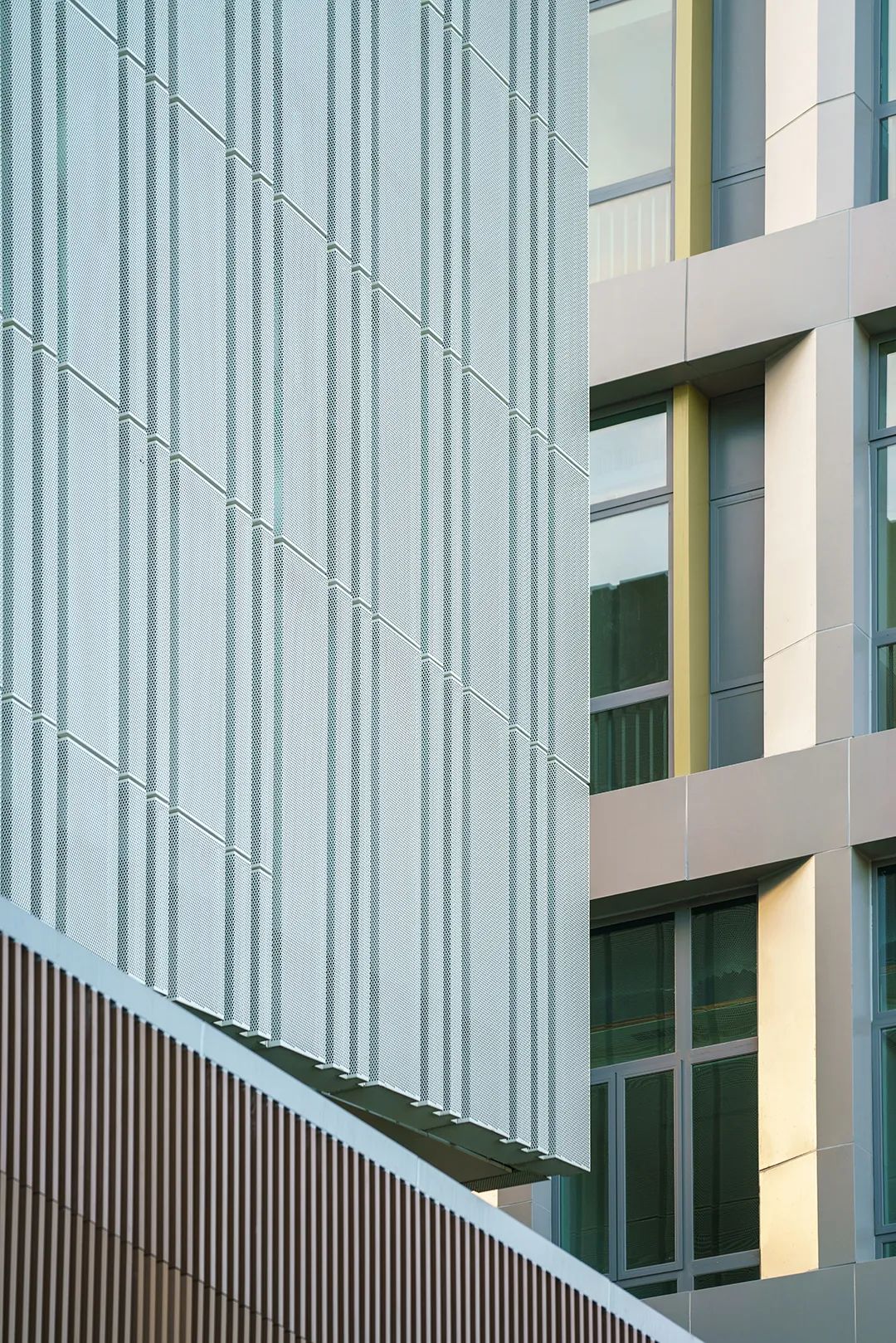 香港中文大学（深圳）二期丨山水林间，在地生长