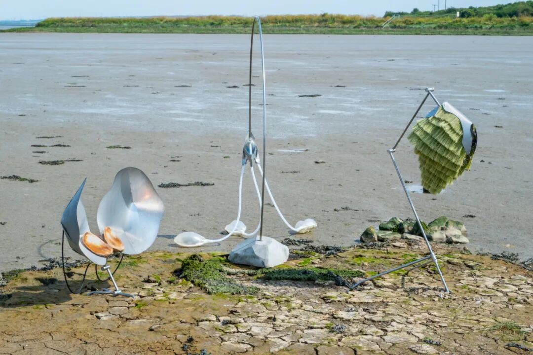 第一期马岩松做主编的domus，我们讨论了什么?