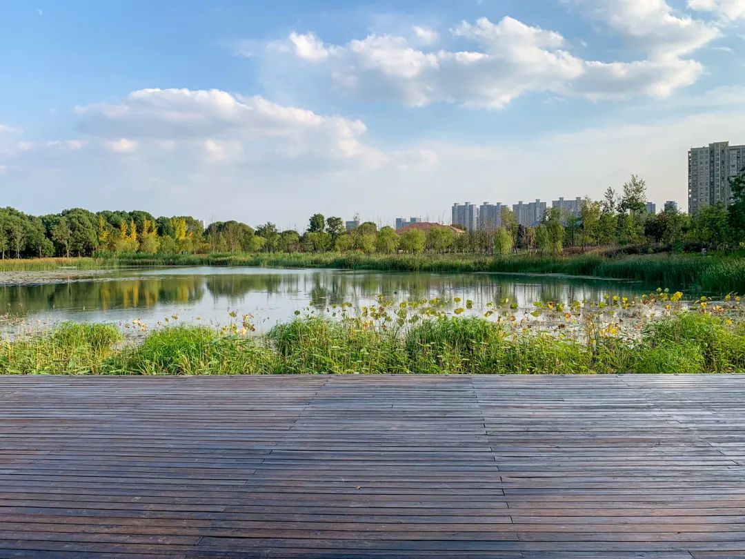 LA专集 | 万木葱翠,十里森境——森林公园规划设计探索