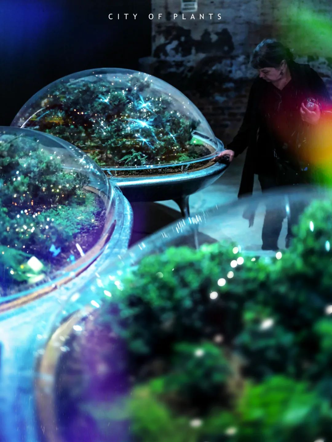 森林城市 | 马岩松MAD第19届威尼斯国际建筑双年展主展场新作