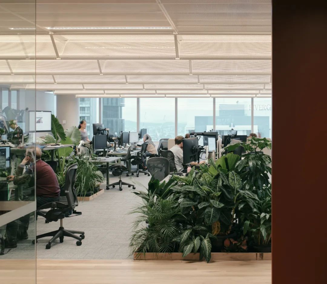 可再生设计赋能未来 &mdash;&mdash; 奥雅纳布里斯班新办公空间引领循环与健康的办公典范