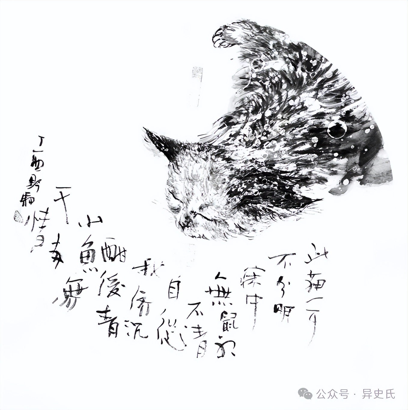 得猫升天及貘及猫童子​：《猫民十记》书评三篇