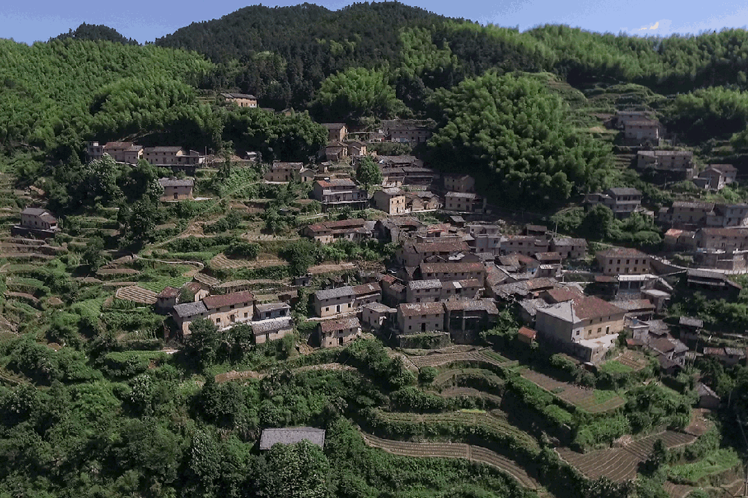 line+WORK | 崖居古村的新生：松阳·飞蔦集二期