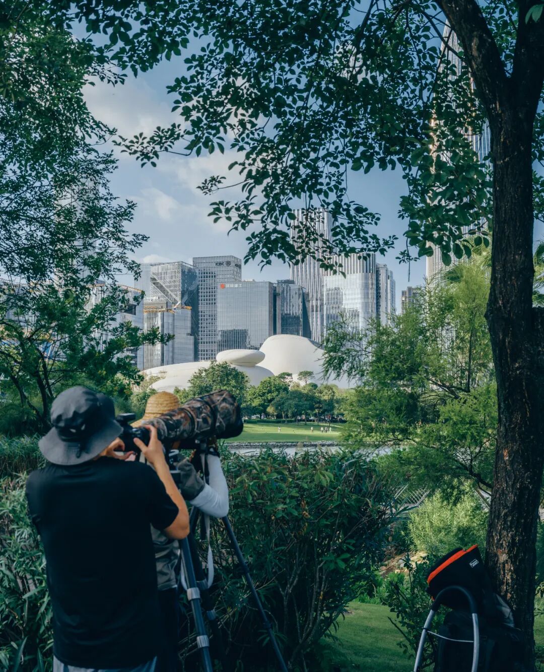 湾区新场地即将呈现丨马岩松MAD深圳湾文化广场