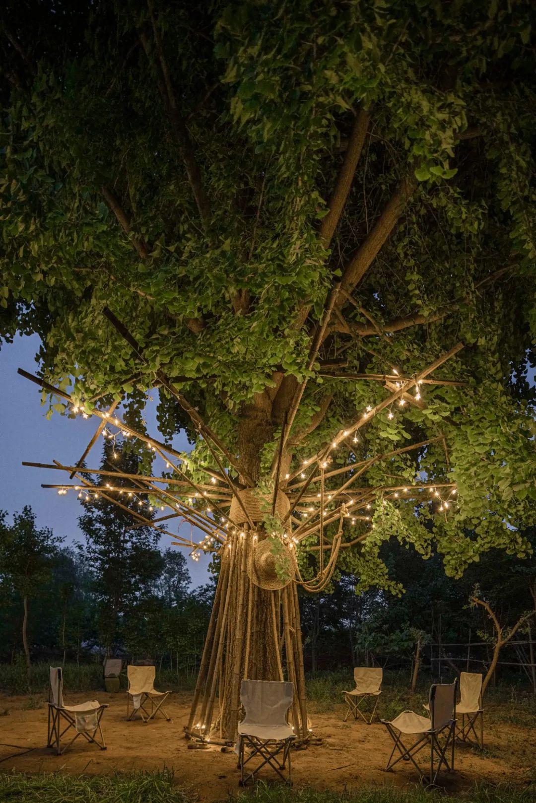 UK Studio Design｜拥抱可持续 / 竹装置&mdash;&mdash;Tree of Life