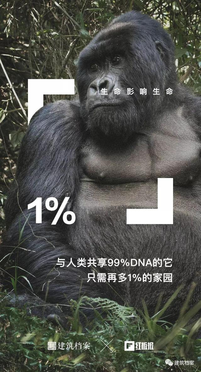 自然生命，红板报，建筑师