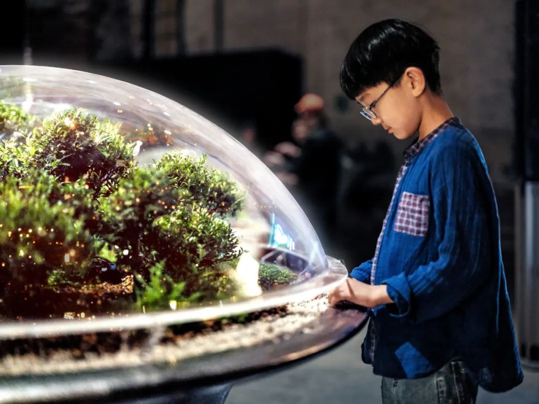 森林城市 | 马岩松MAD第19届威尼斯国际建筑双年展主展场新作