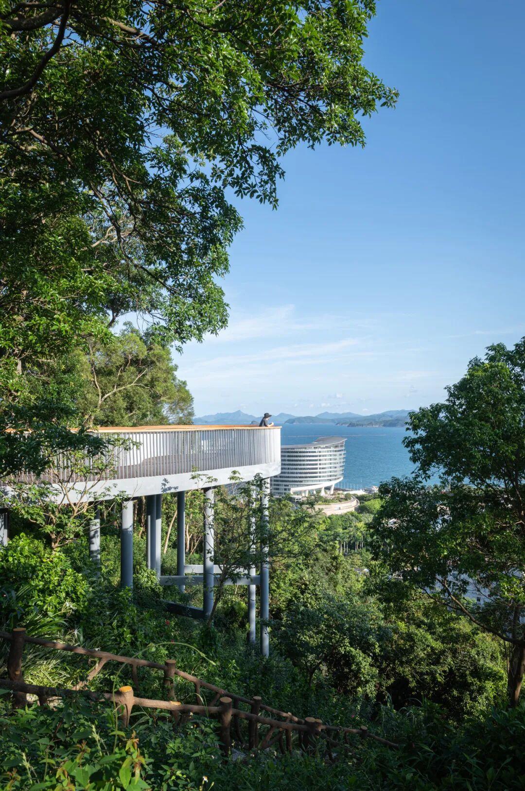 曹睿芝:大题小做