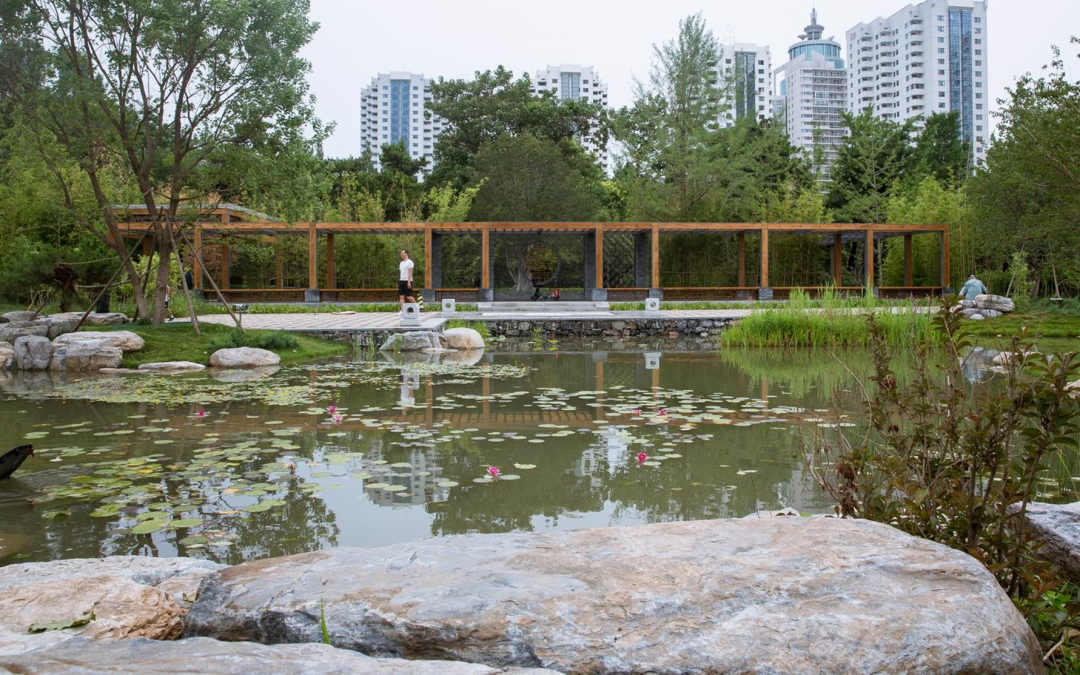 小湿地大生态——北京小微湿地保护修复示范建设项目实践 | LA理事风采