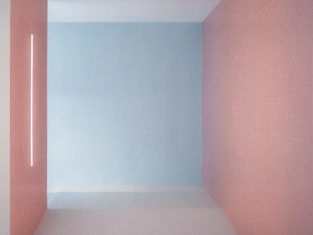 【建言丨对话王旎】建造承载生命轨迹的温暖容器