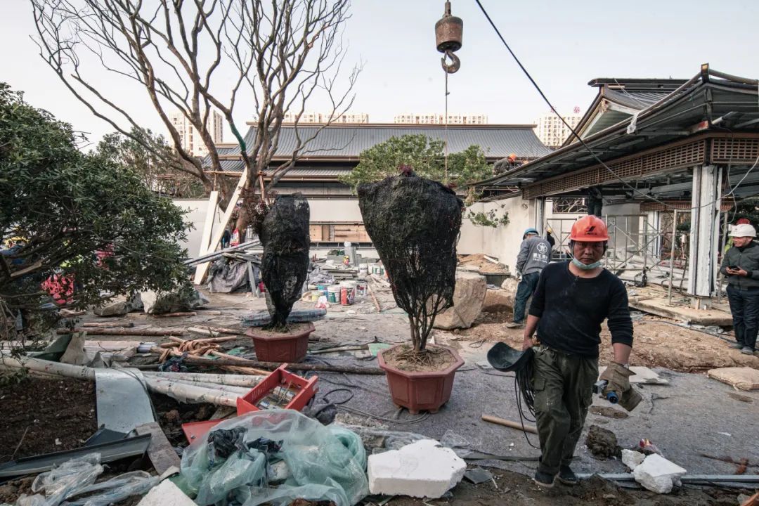 宋风之韵，淡雅之姿 | 台州建发·养云【致逸现场】 