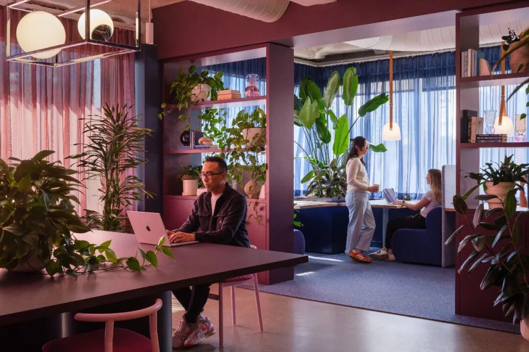 Gensler 2026年全球职场调研发现：使用AI最频繁的员工，团队联结也最紧密