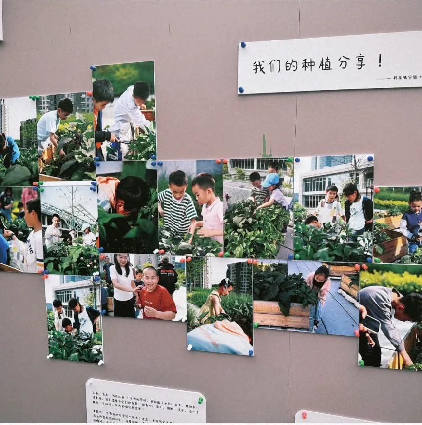 陪伴型社区商业，创造深度情感价值，以需求链接城市居民