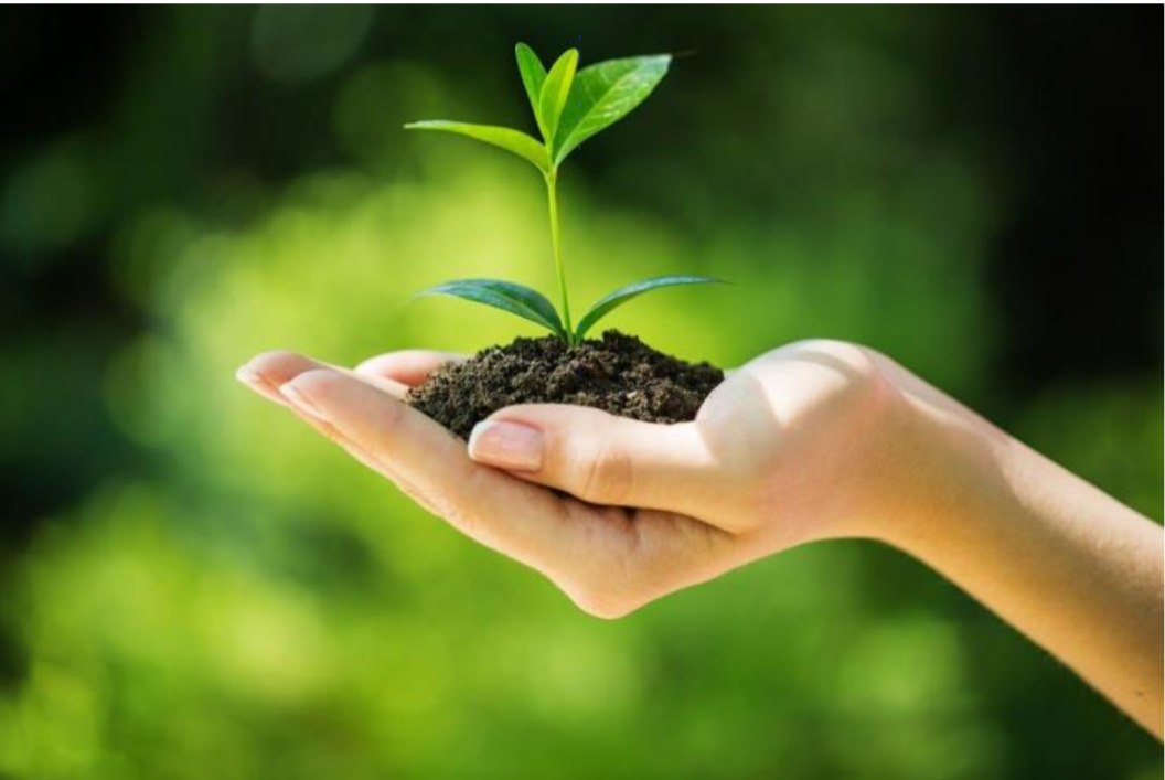 雄安电建智慧城，开启零碳建筑新纪元