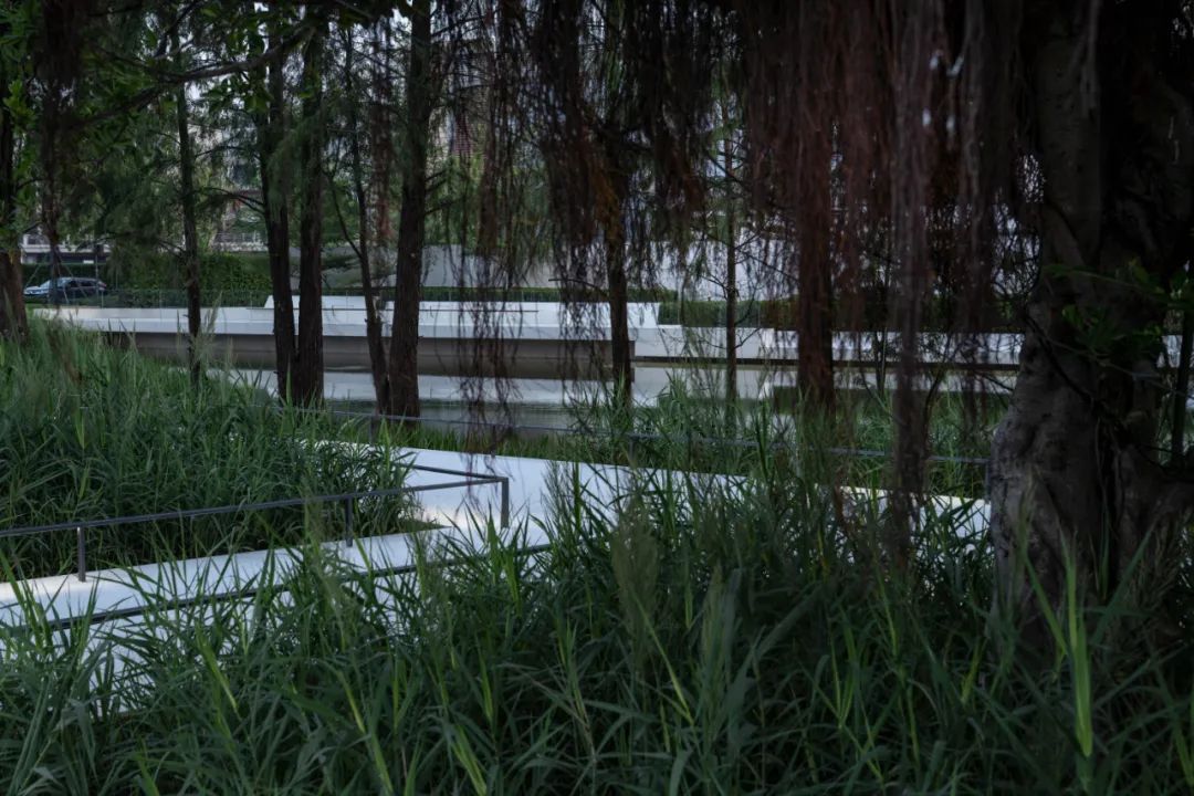 LA理事风采 | 顺德华润置地广场代建公园