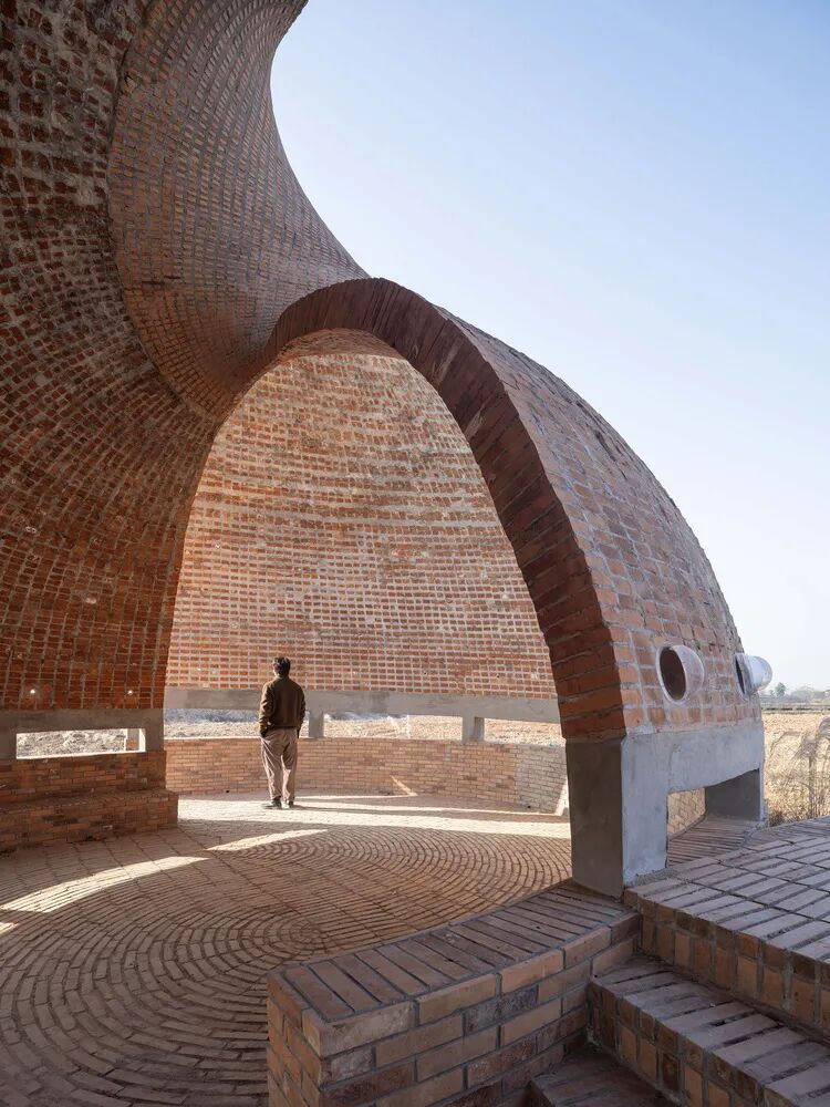 【建言丨对话张准】共生结构，探索全新生态位
