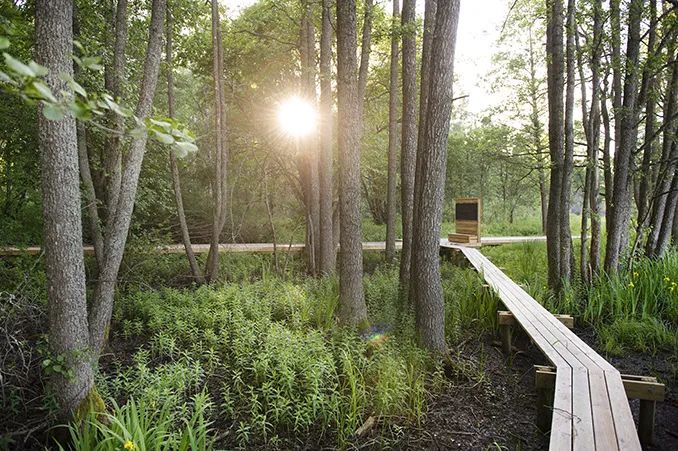 LA专集 | 万木葱翠,十里森境——森林公园规划设计探索