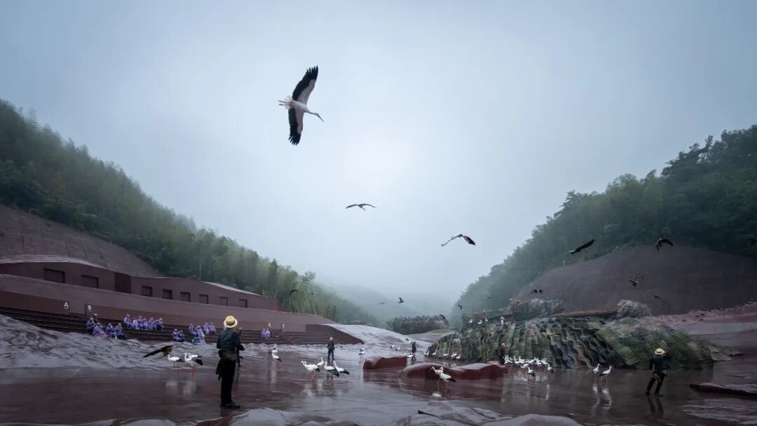 goa作品 | 大地艺术剧场，为飞鸟和人建造