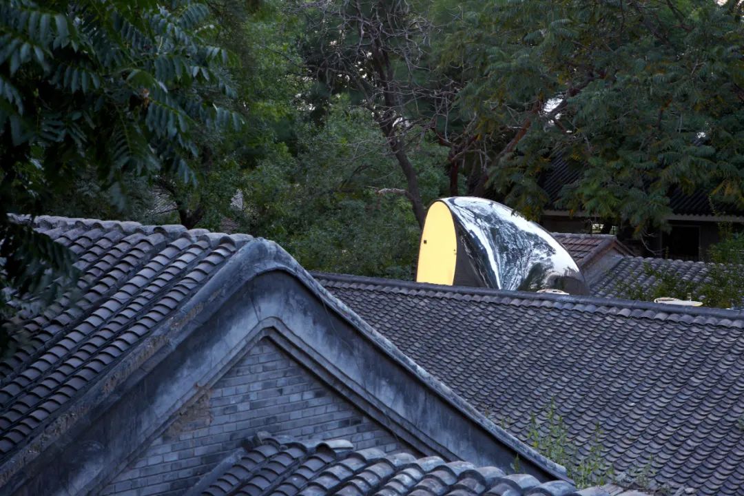 《二十城记》上海对谈 | 金宇澄x马岩松: 摒弃“折中主义”, 才有可能走出自己的路